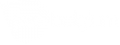 pse-belgium-logo2